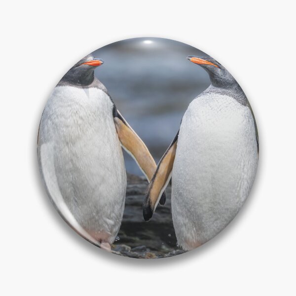 Item preview, Two Gentoo Penguins South Georgia Island designed and sold by PhotoArt by Joan Carroll.