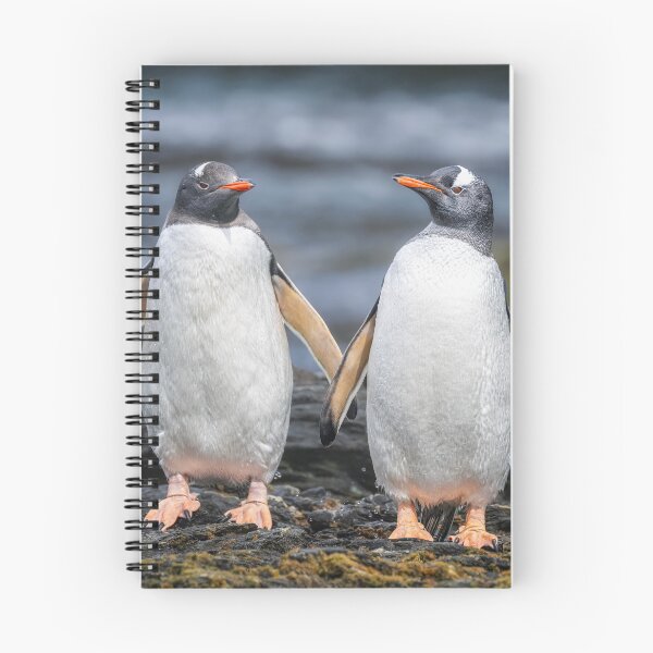 Item preview, Two Gentoo Penguins South Georgia Island designed and sold by PhotoArt by Joan Carroll.