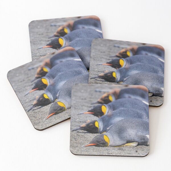 Item preview, Four Kings South Georgia Island designed and sold by PhotoArt by Joan Carroll.
