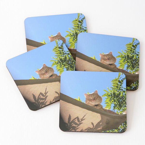 Item preview, King of the Garden | Cozy Cat Relaxing in a Sunny Hammock designed and sold by Jesus-istheway.