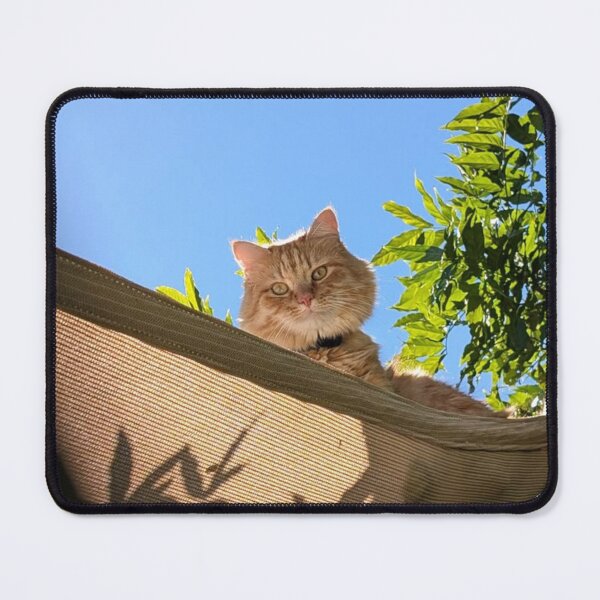 Item preview, King of the Garden | Cozy Cat Relaxing in a Sunny Hammock designed and sold by Jesus-istheway.