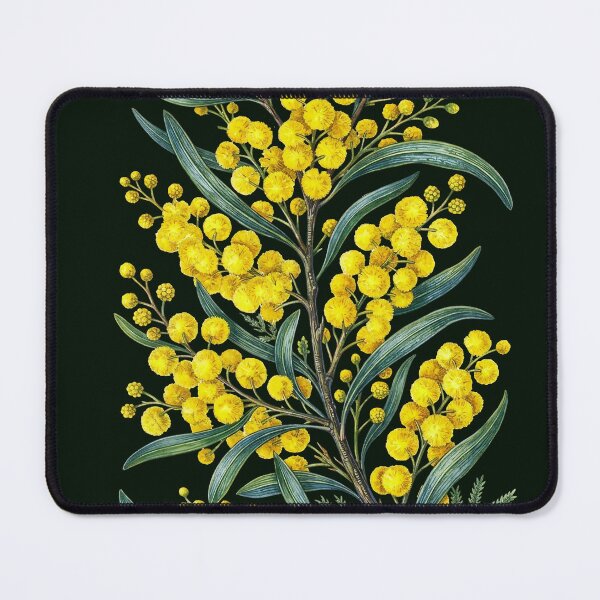 Item preview, Golden Wattle Flower Watercolor Botanical Art designed and sold by LinaValearte.