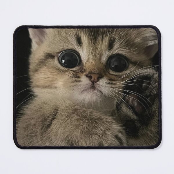 Item preview, Tiny Kitten with Big Innocent Eyes | Adorable Cat Portrait designed and sold by Jesus-istheway.
