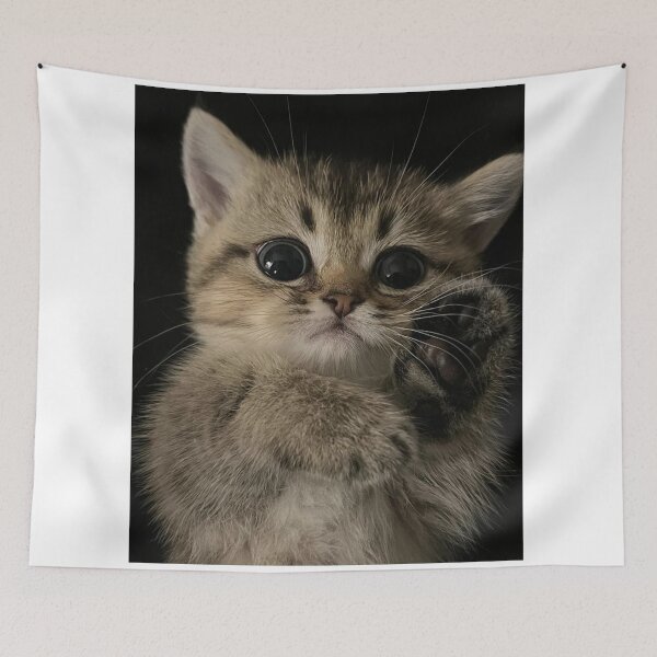 Item preview, Tiny Kitten with Big Innocent Eyes | Adorable Cat Portrait designed and sold by Jesus-istheway.