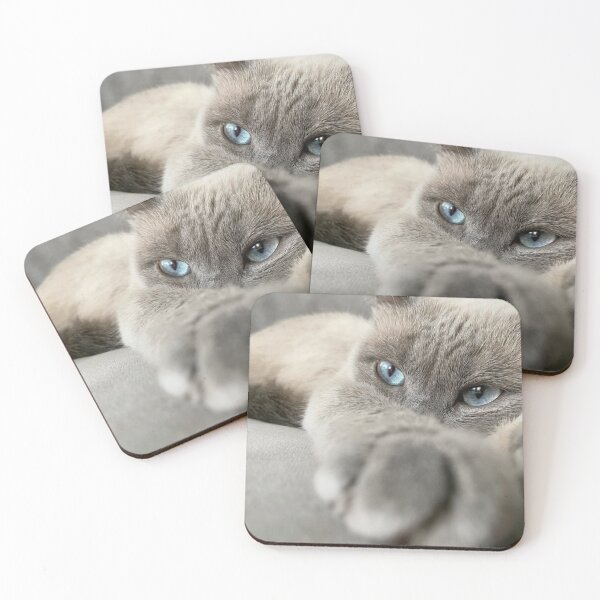 Item preview, Blue-Eyed Cat Reaching Out | Cozy Feline Close-Up designed and sold by Jesus-istheway.