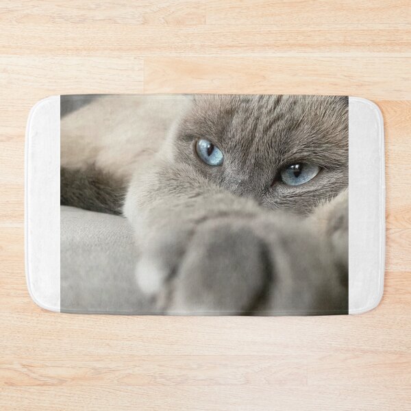 Item preview, Blue-Eyed Cat Reaching Out | Cozy Feline Close-Up designed and sold by Jesus-istheway.
