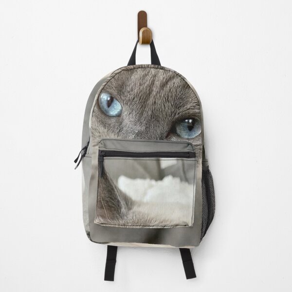 Item preview, Blue-Eyed Cat Reaching Out | Cozy Feline Close-Up designed and sold by Jesus-istheway.