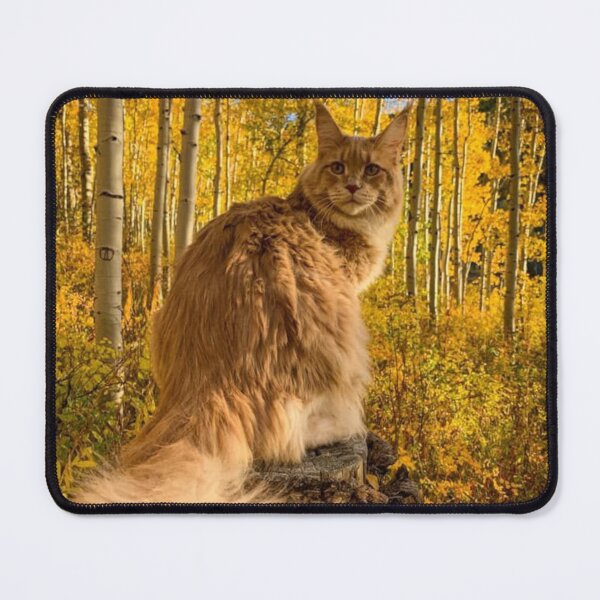 Item preview, Majestic Maine Coon in an Autumn Forest | Golden Fall Cat designed and sold by Jesus-istheway.