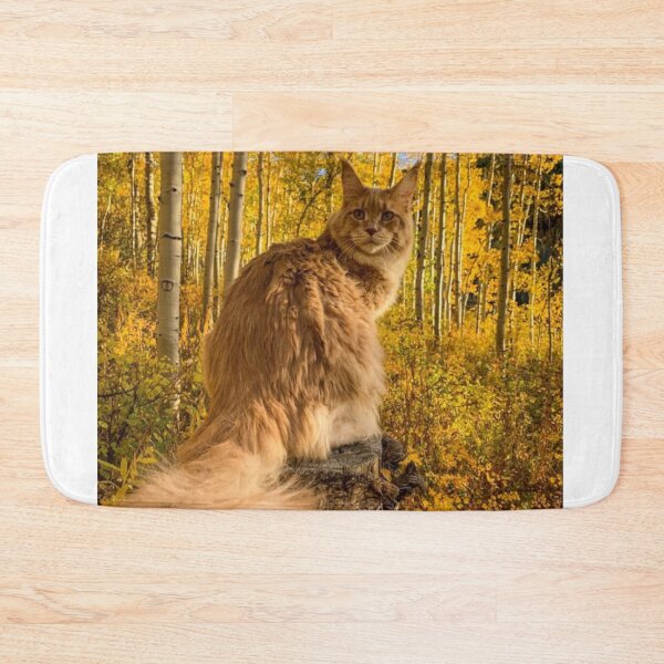 Item preview, Majestic Maine Coon in an Autumn Forest | Golden Fall Cat designed and sold by Jesus-istheway.