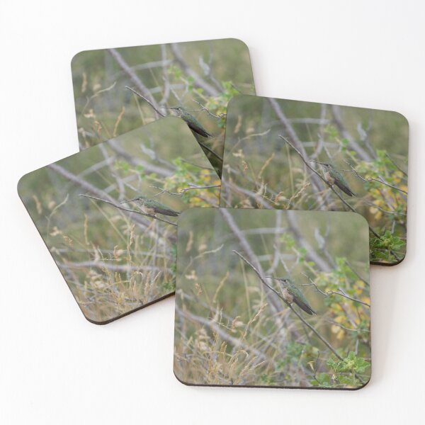 Item preview, Broad-Tailed Hummingbird in Natural Habitat designed and sold by Dirt500.