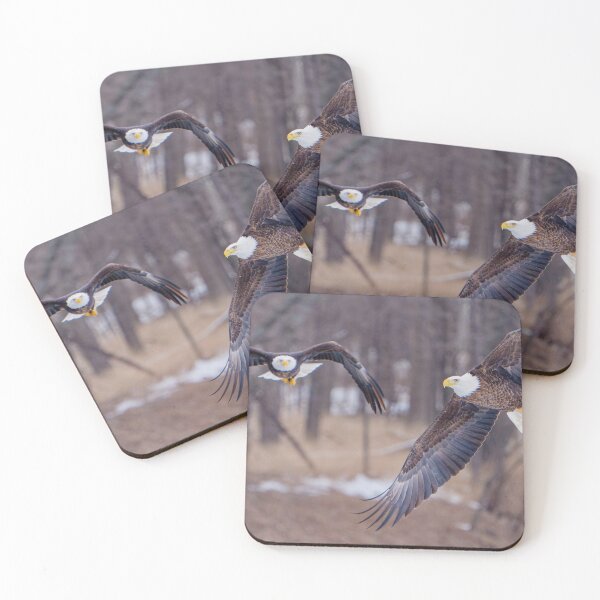 Item preview, Double Eagle Flyby designed and sold by South 500 Photography.
