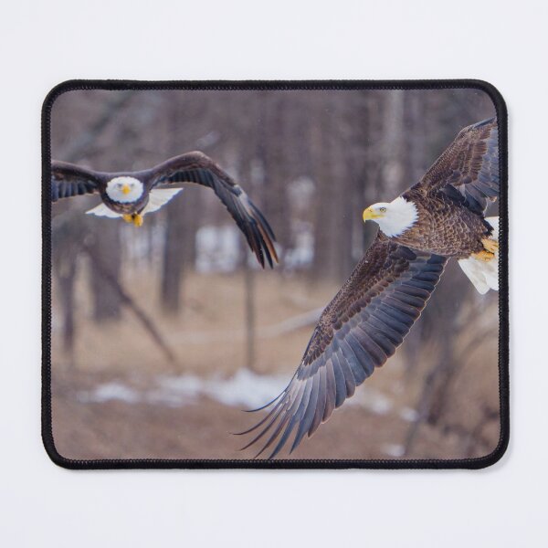 Item preview, Double Eagle Flyby designed and sold by South 500 Photography.