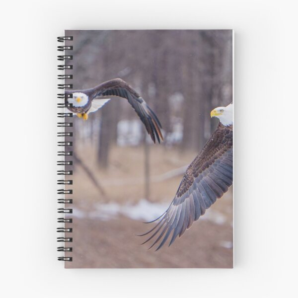 Item preview, Double Eagle Flyby designed and sold by South 500 Photography.