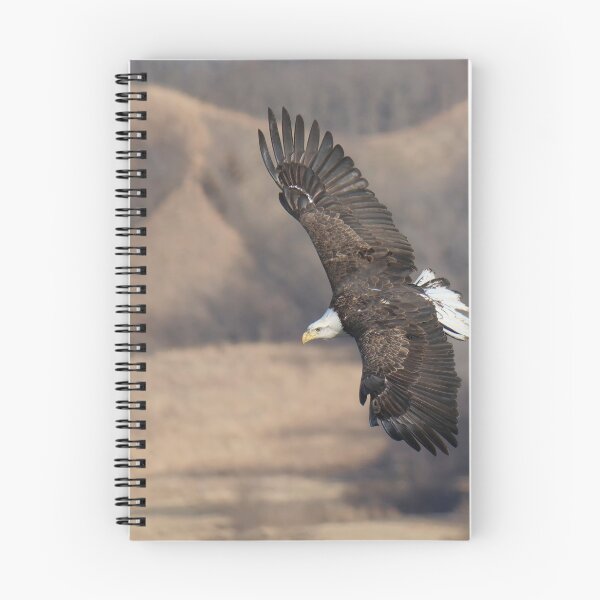 Item preview, Bald Eagle Soaring on the Wind designed and sold by South 500 Photography.