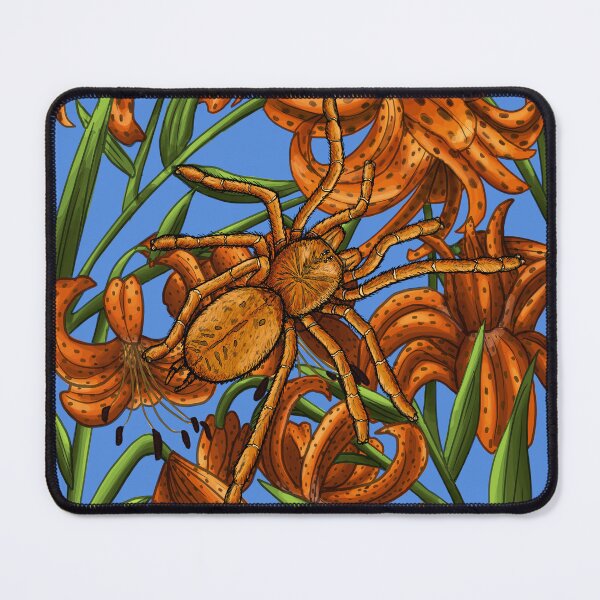 Item preview, Orange Baboon Tarantula x Tiger Lily designed and sold by JoyHappySpiders.