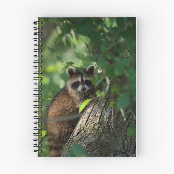 Item preview, Cute and Curious Raccoon  designed and sold by South 500 Photography.