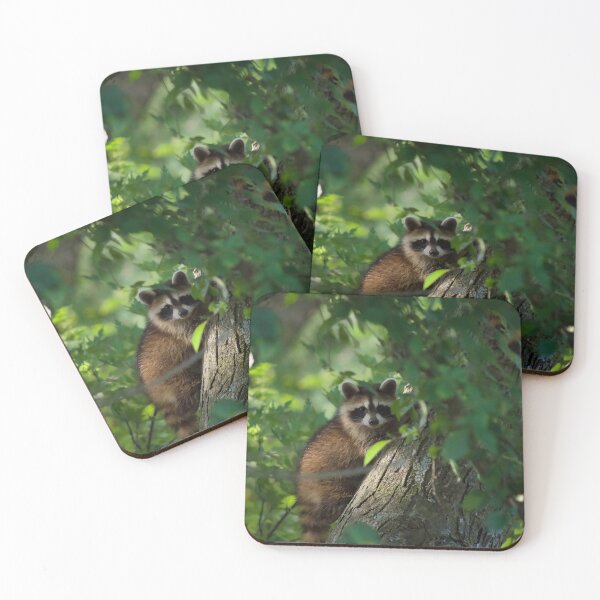 Item preview, Mapache lindo y curioso designed and sold by South 500 Photography.