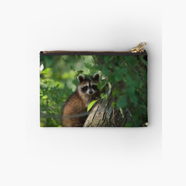 Item preview, Mapache lindo y curioso designed and sold by South 500 Photography.
