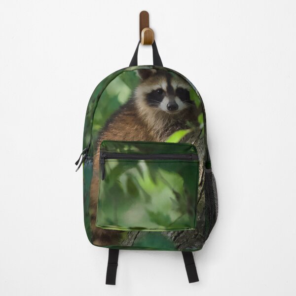 Item preview, Cute and Curious Raccoon designed and sold by South 500 Photography.