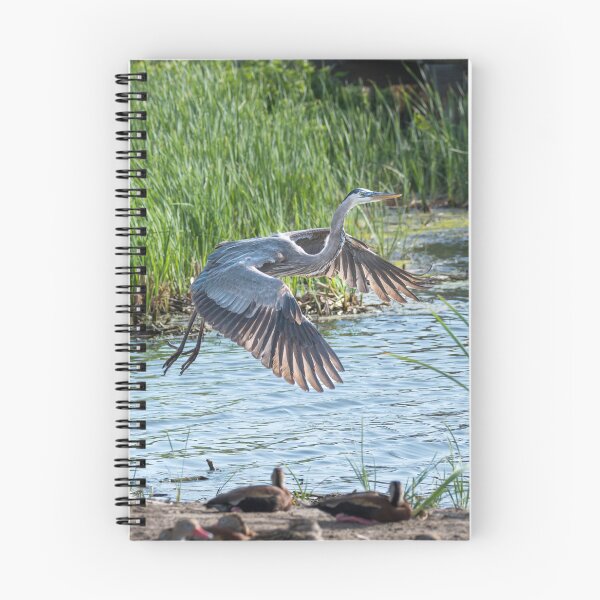 Item preview, Heron Incoming for a Landing designed and sold by Debra Martz.