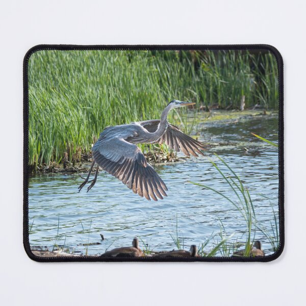 Item preview, Heron Incoming for a Landing designed and sold by Debra Martz.