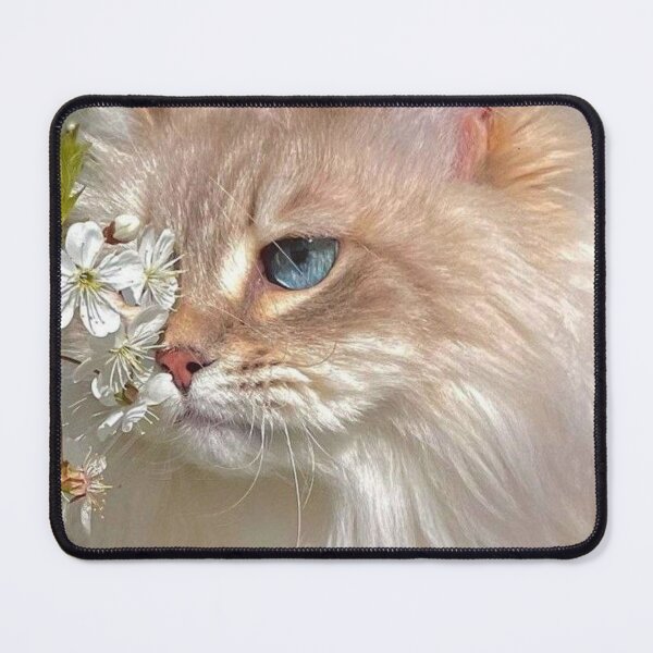 Item preview, Blue-Eyed Fluffy Cat with Spring Blossoms | Elegant Floral Cat Art designed and sold by Jesus-istheway.