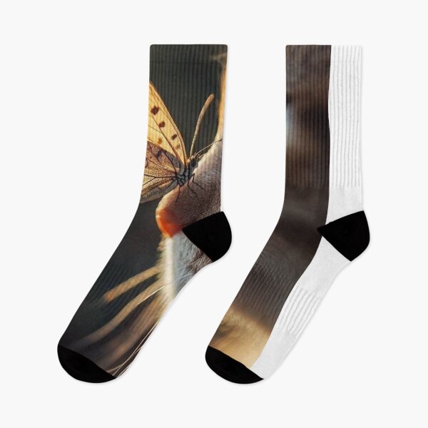Item preview, Curious Cat and Butterfly | Golden Hour Nature Cat Photography designed and sold by Jesus-istheway.
