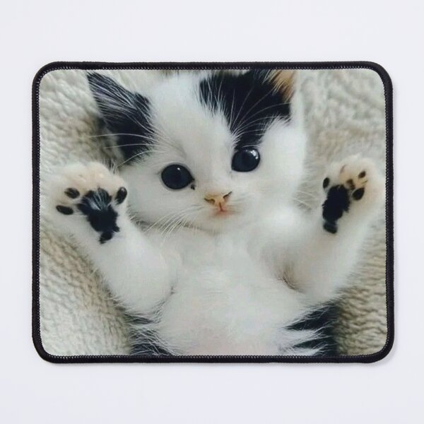Item preview, Adorable Black & White Kitten with Tiny Paw Pads | Cute Kawaii Cat Illustration designed and sold by Jesus-istheway.