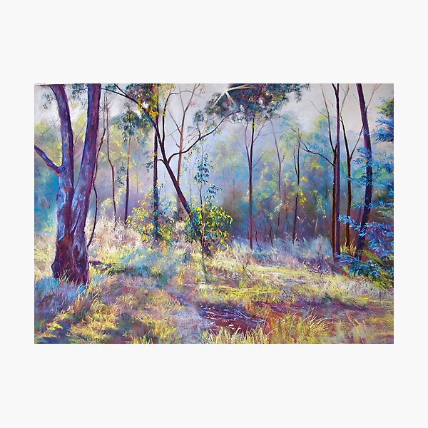 Symphony of Bush Colours Photographic Print