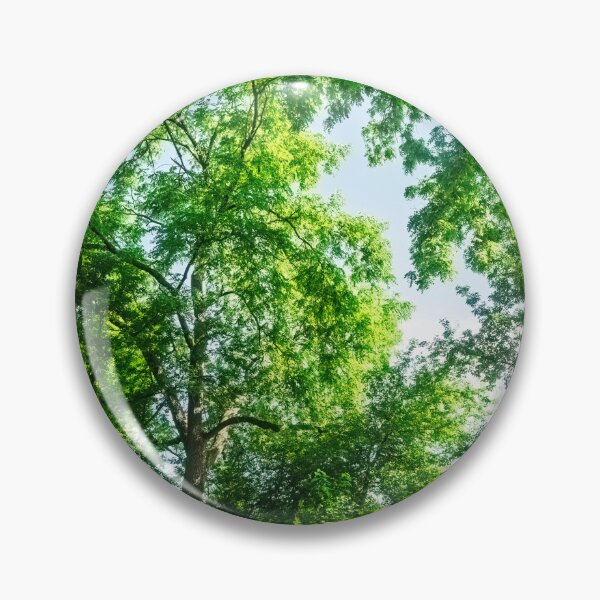 Item preview, Summery sunlight shining into a forest designed and sold by Joel Bader.