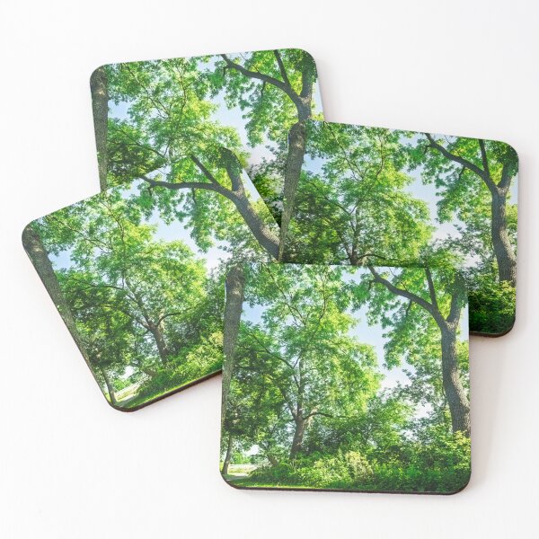 Item preview, Summery sunlight shining into a forest designed and sold by Joel Bader.
