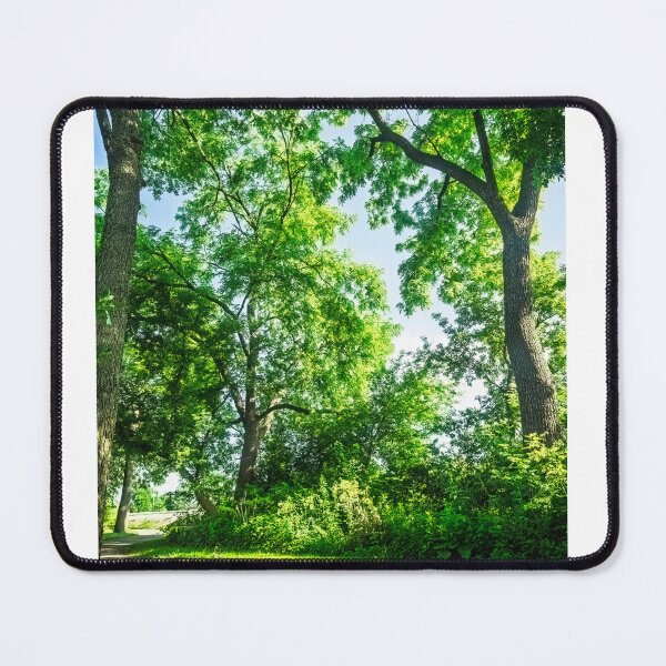 Item preview, Summery sunlight shining into a forest designed and sold by Joel Bader.