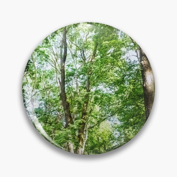 Item preview, A walk through a woodland cathedral designed and sold by Joel Bader.