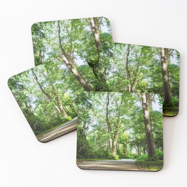 Item preview, A walk through a woodland cathedral designed and sold by Joel Bader.