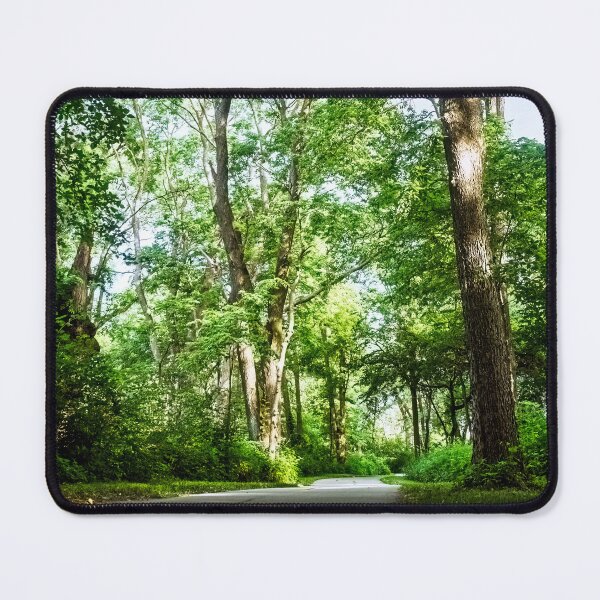 Item preview, A walk through a woodland cathedral designed and sold by Joel Bader.