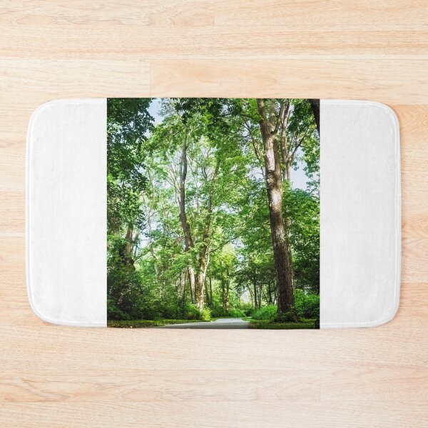 Item preview, A walk through a woodland cathedral designed and sold by Joel Bader.