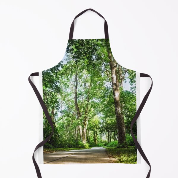Item preview, A walk through a woodland cathedral designed and sold by Joel Bader.