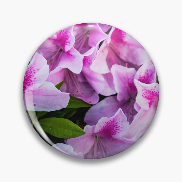 Item preview, Azalea Flowers designed and sold by Douglas E. Welch Design and Photography.