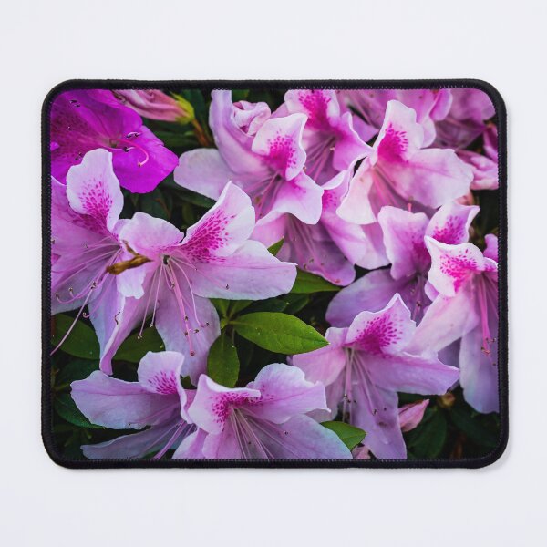 Item preview, Azalea Flowers designed and sold by Douglas E. Welch Design and Photography.