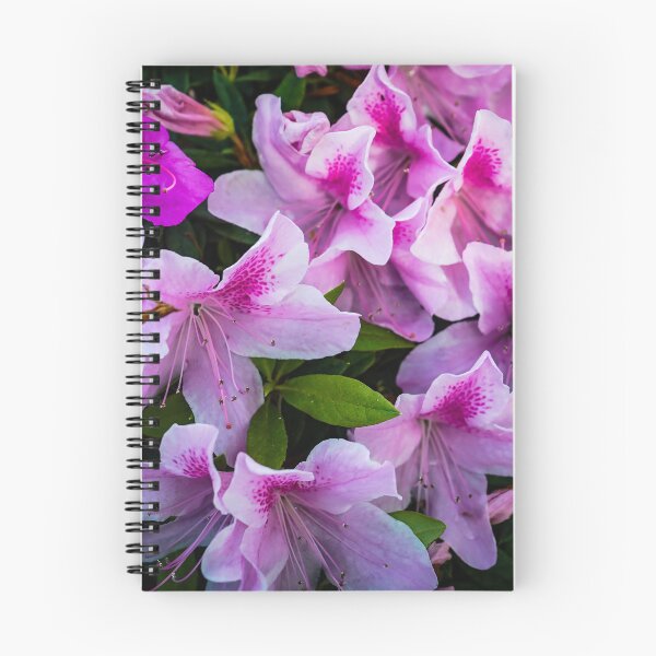 Item preview, Azalea Flowers designed and sold by Douglas E. Welch Design and Photography.