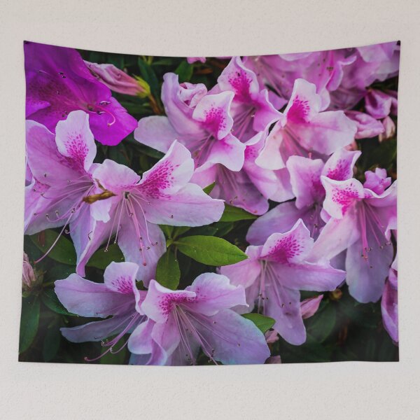 Item preview, Azalea Flowers designed and sold by Douglas E. Welch Design and Photography.