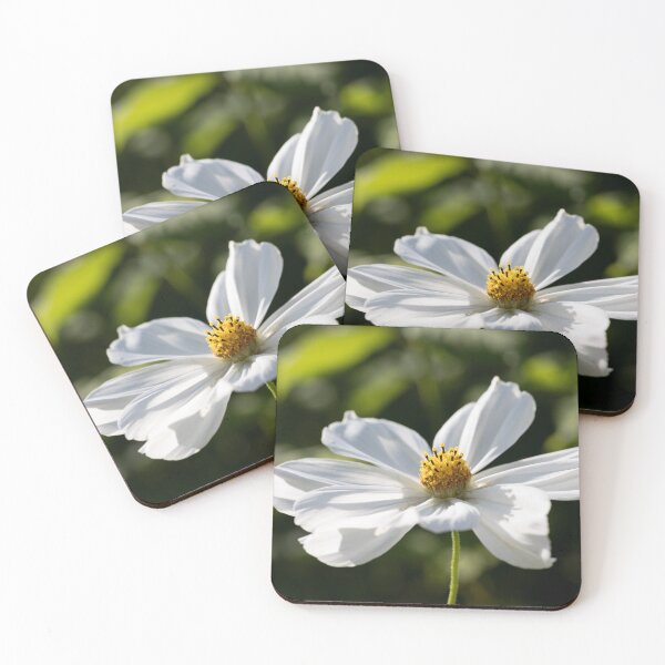 Item preview, white cosmos designed and sold by codaimages.