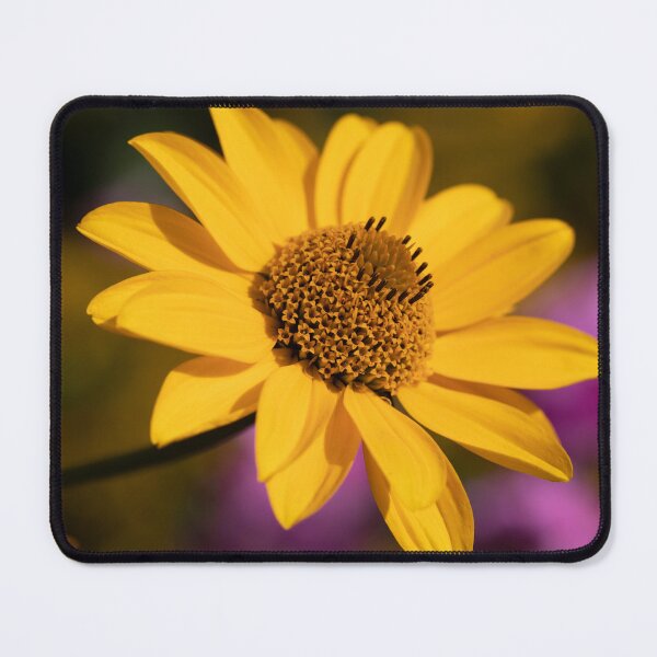 Item preview, heliopsis helianthoides designed and sold by codaimages.