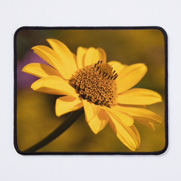 Item preview, false sunflower designed and sold by codaimages.