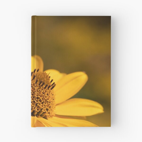 Item preview, false sunflower designed and sold by codaimages.