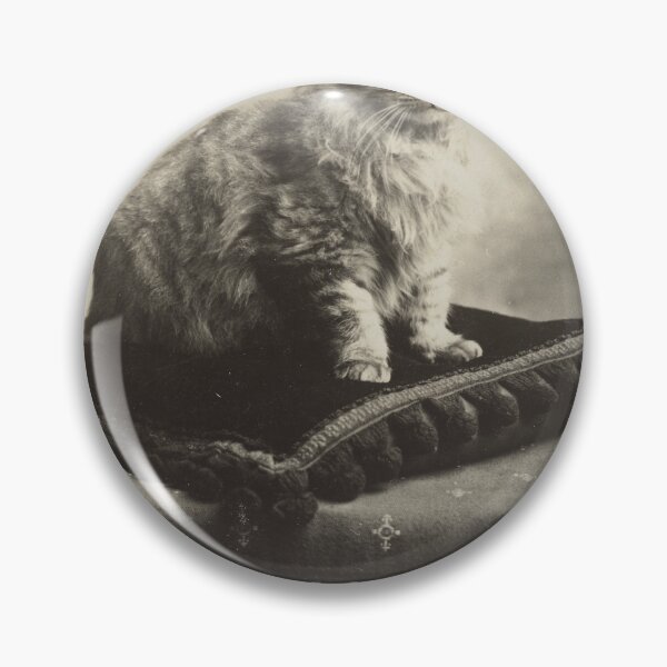 Item preview, Antique Cat on Cushion Postcard 1910 Restored Vintage Art Reproduction designed and sold by markomundo.