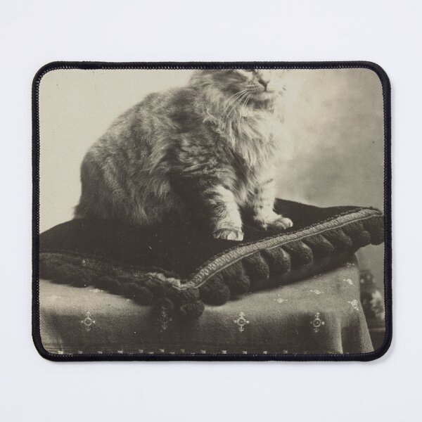 Item preview, Antique Cat on Cushion Postcard 1910 Restored Vintage Art Reproduction designed and sold by markomundo.