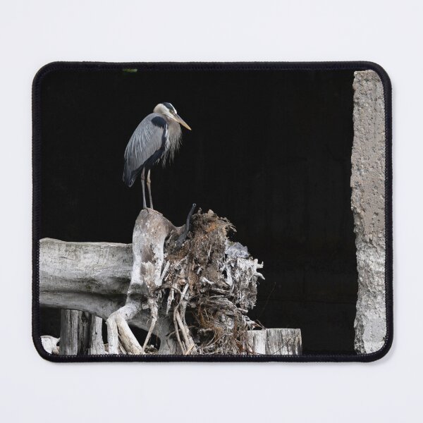 Item preview, Great Blue Heron Natures Art 6-14-2026 designed and sold by Thomasyoung.