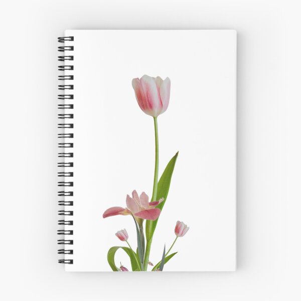 Item preview, Clean Botanical Pink Tulip Photo Composition designed and sold by Rozi A.S.