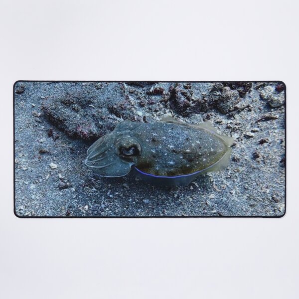 Item preview, Indonesian Cuttlefish designed and sold by Marine Wonders.